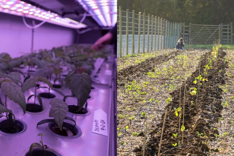 A Healthier Earth ForrestFactory®