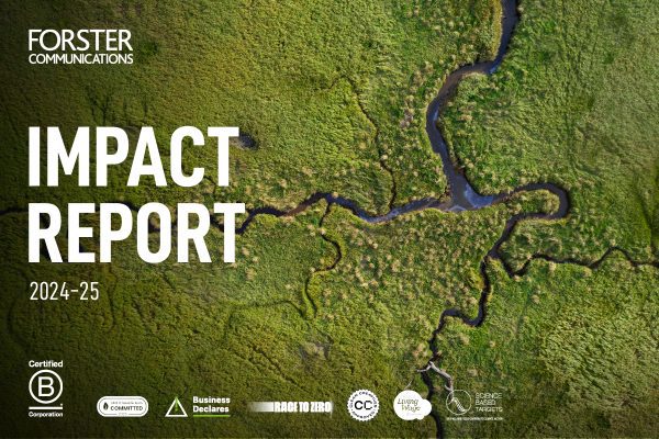 Impact Report 2024-25