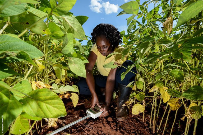 African woman testing soil as part of climate solutions